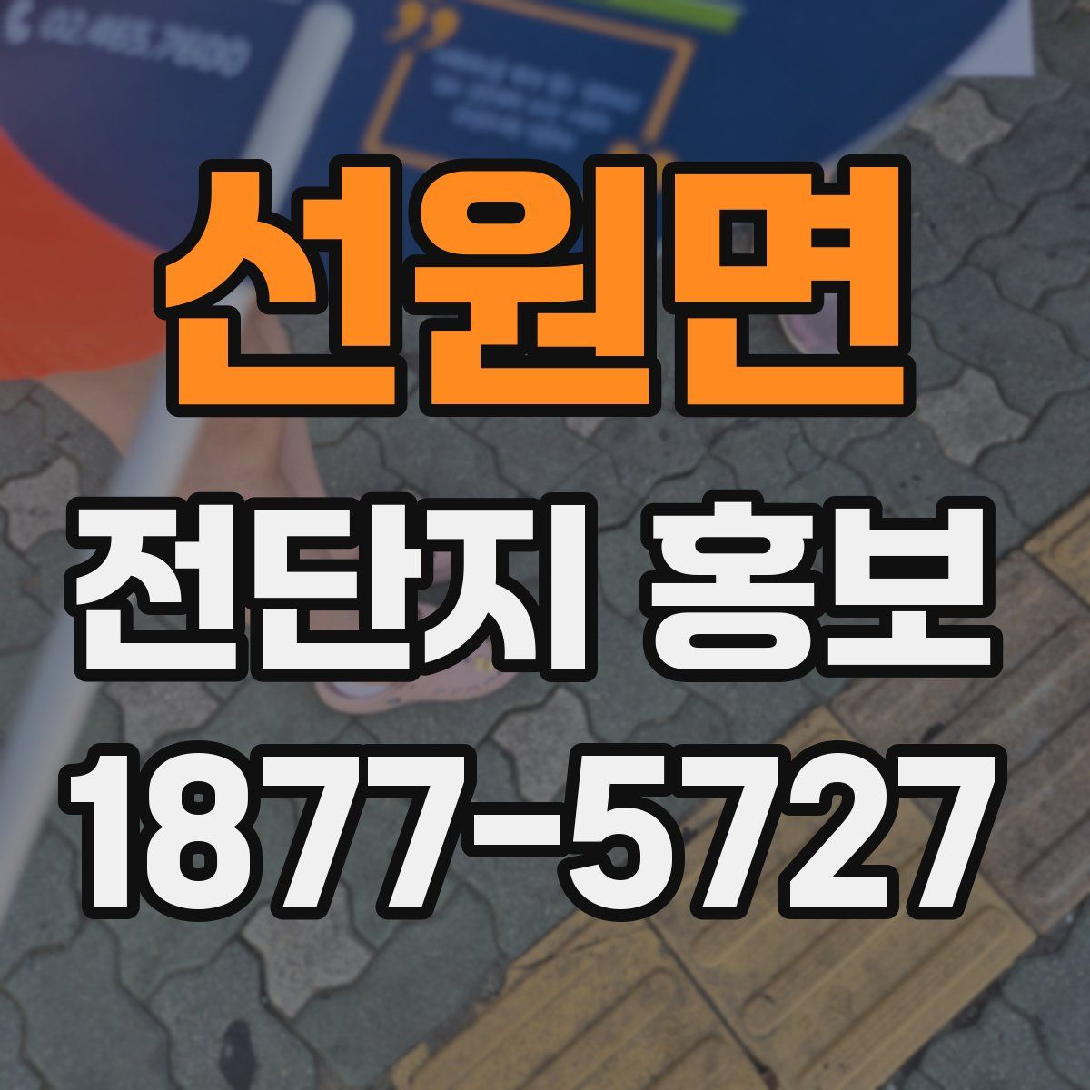 선원면 전단지 홍보