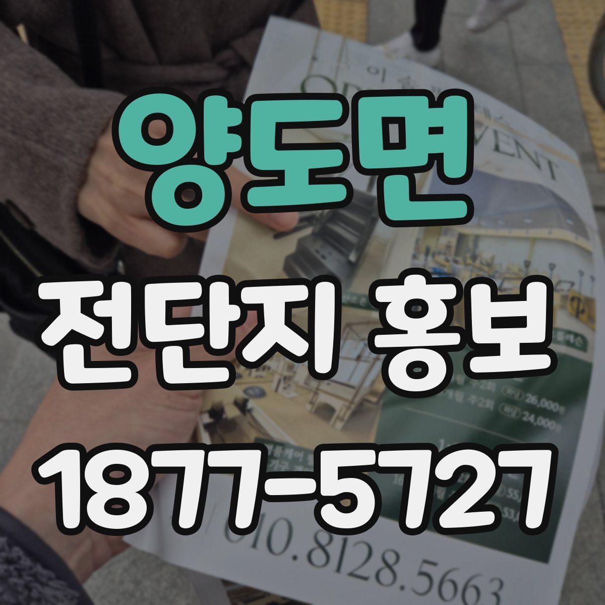 양도면 전단지 홍보