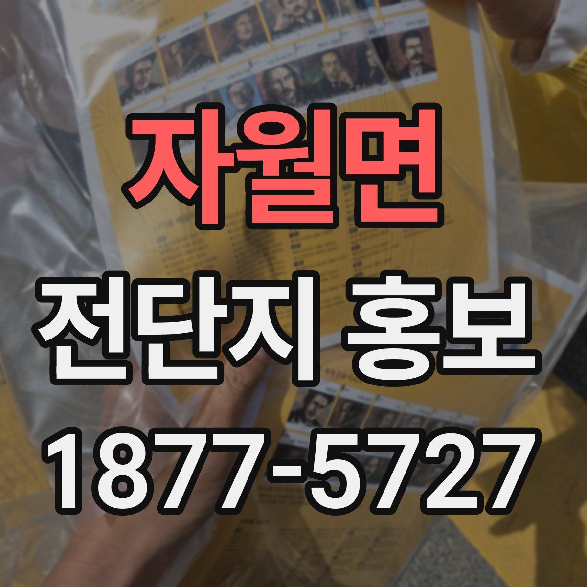 자월면 전단지 홍보
