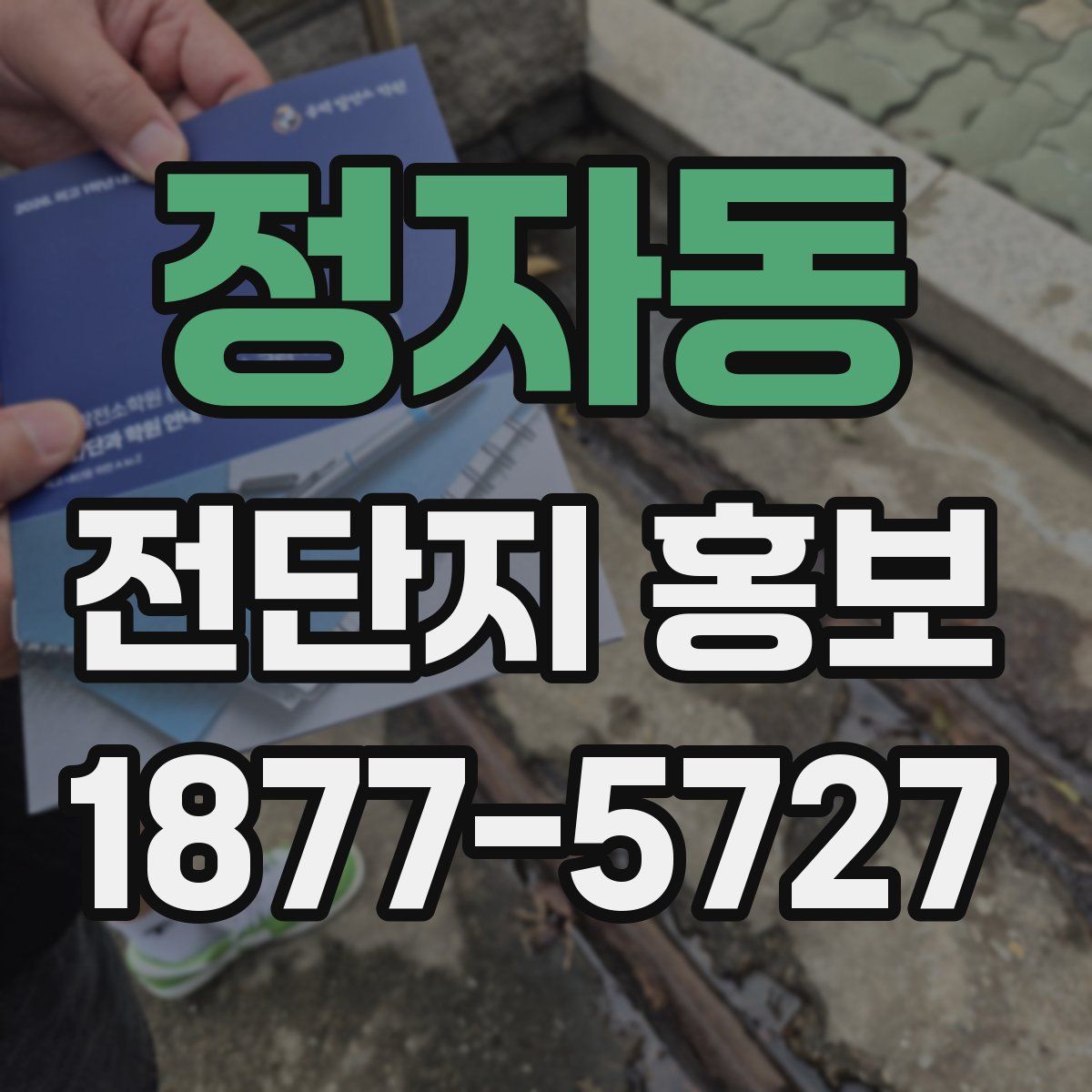 정자동 전단지 홍보
