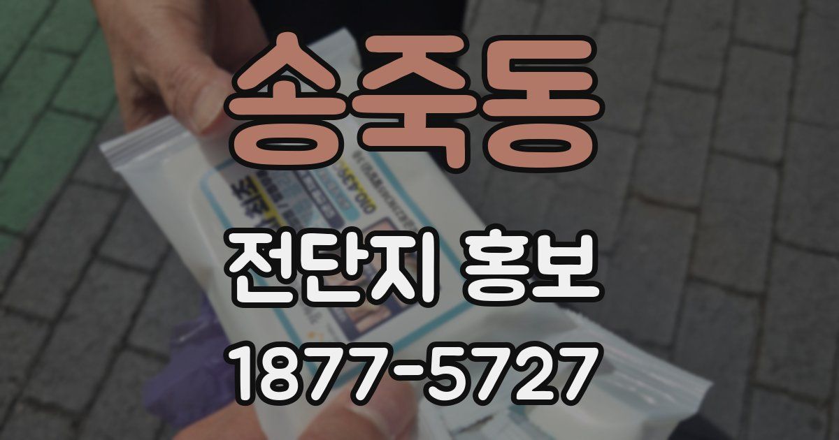 송죽동 전단지 홍보
