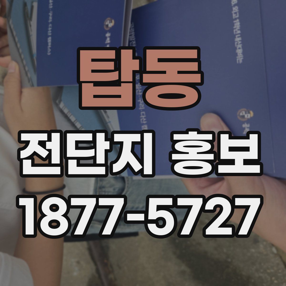 탑동 전단지 홍보