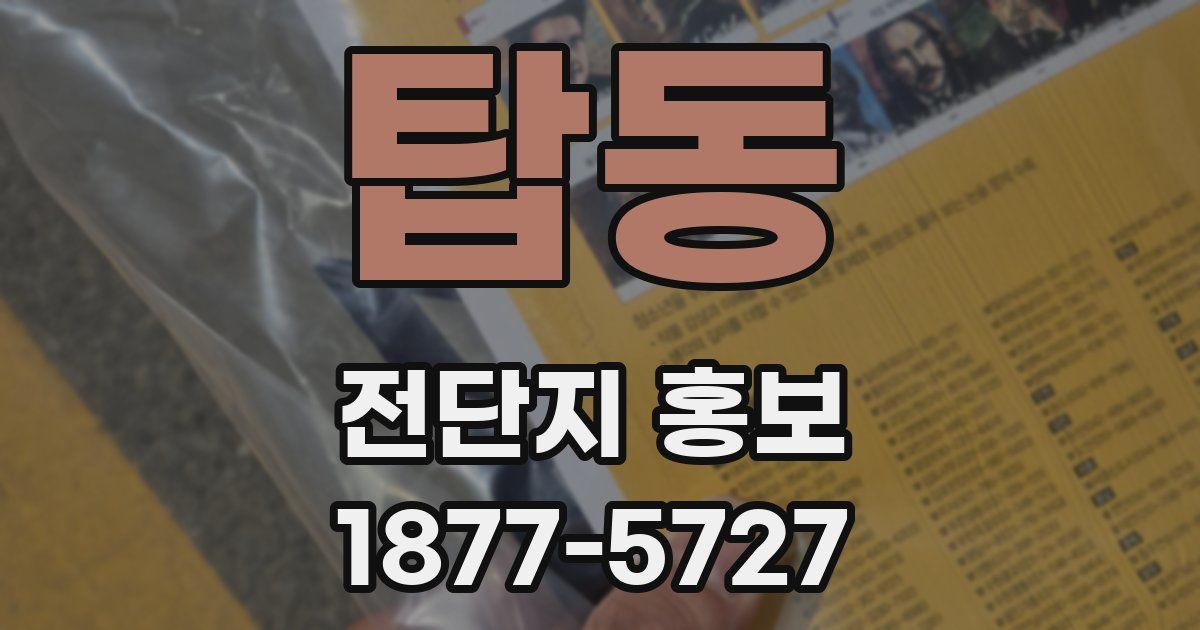 탑동 전단지 홍보