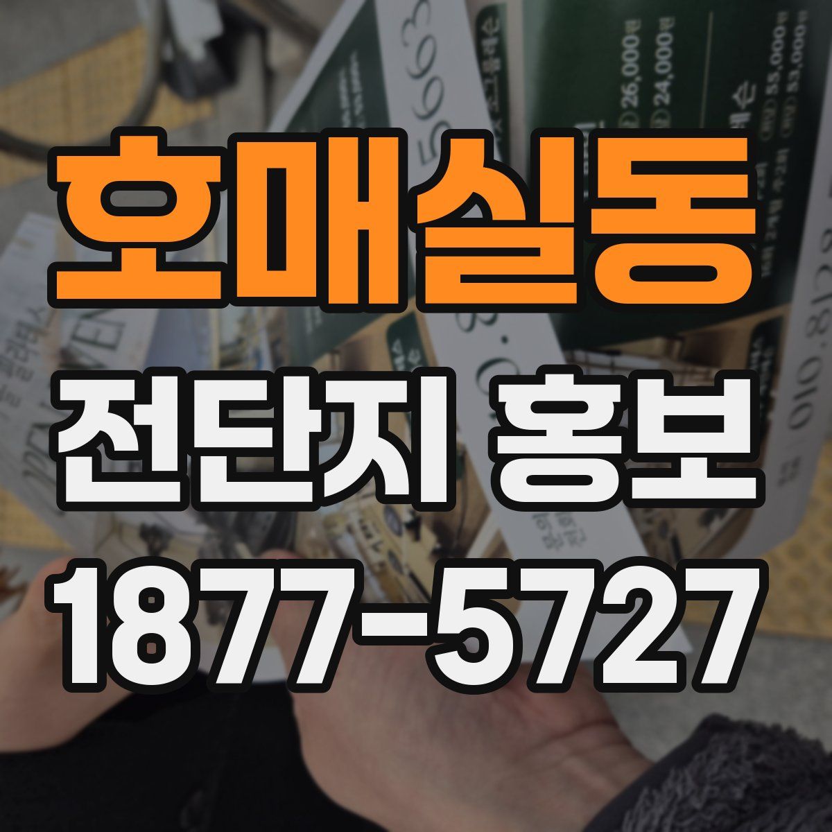 호매실동 전단지 홍보
