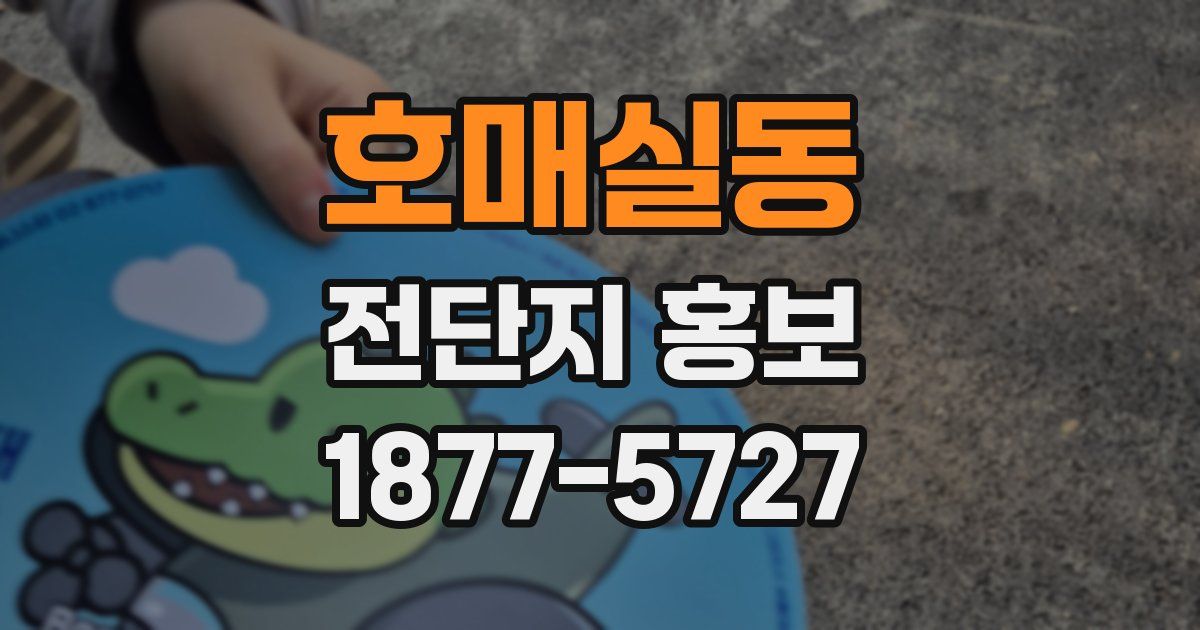 호매실동 전단지 홍보