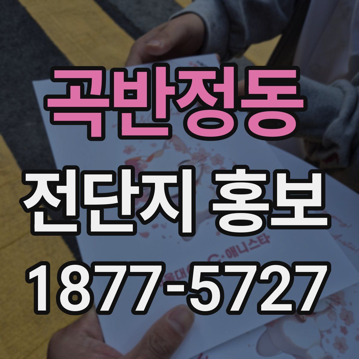 곡반정동 전단지 홍보