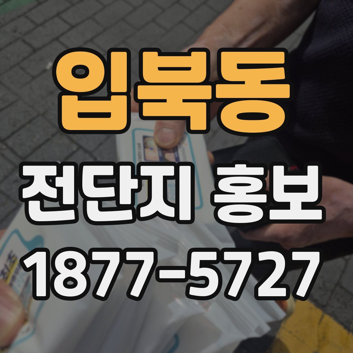 입북동 전단지 홍보
