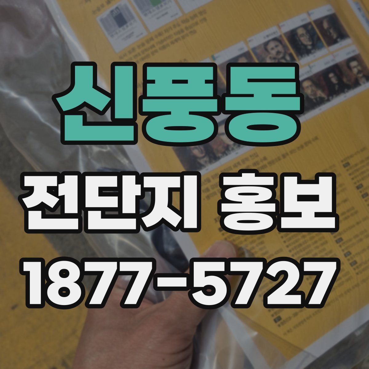 신풍동 전단지 홍보