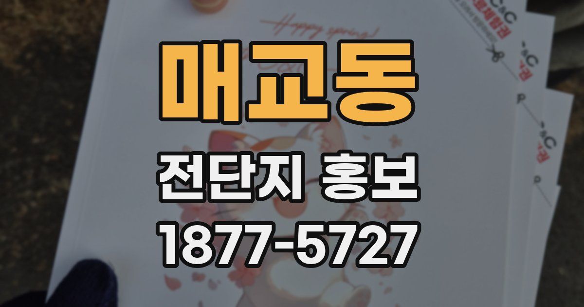 매교동 전단지 홍보