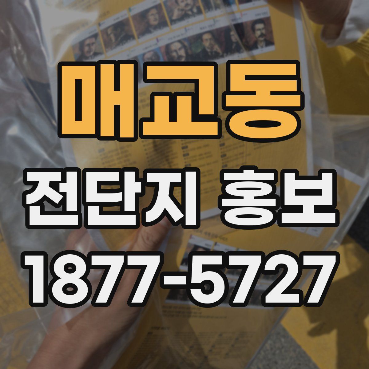 매교동 전단지 홍보