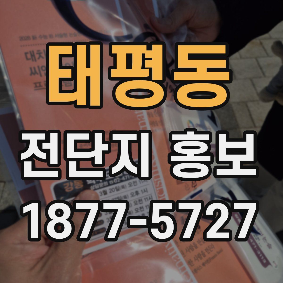 태평동 전단지 홍보
