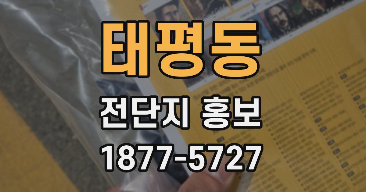 태평동 전단지 홍보