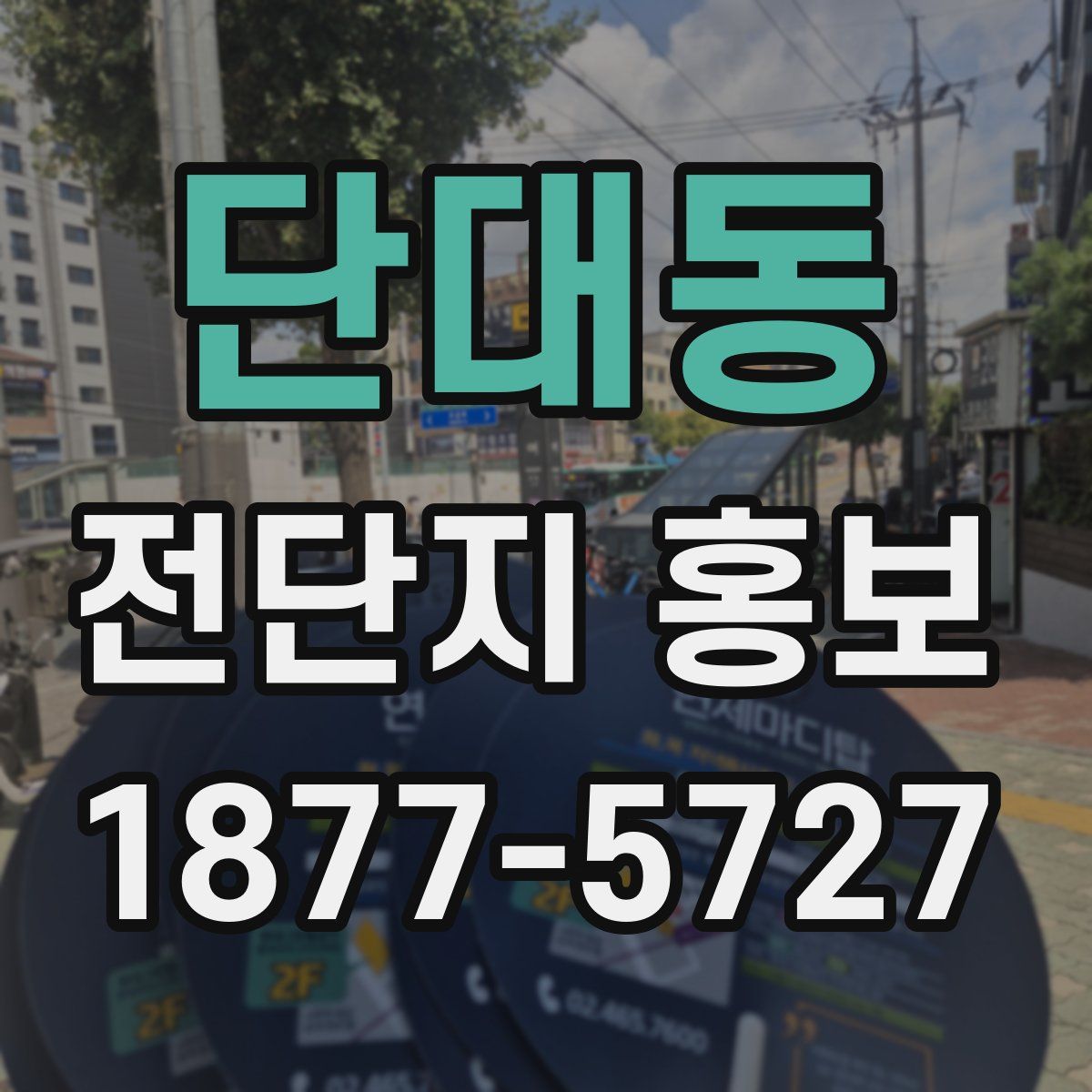 단대동 전단지 홍보