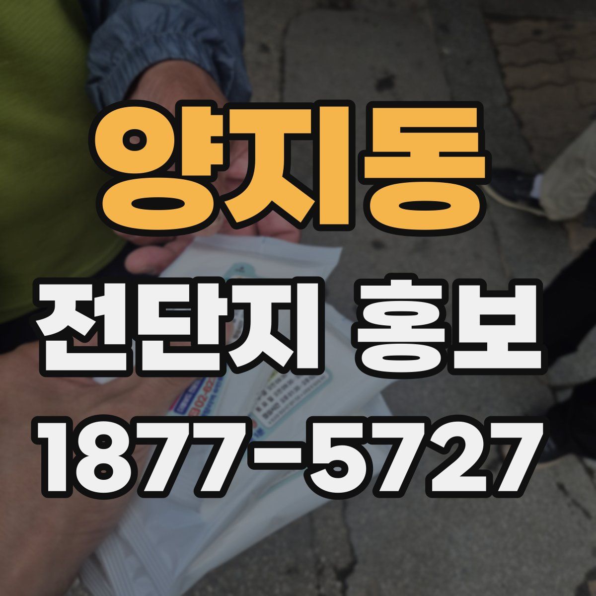 양지동 전단지 홍보