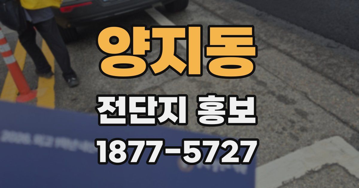 양지동 전단지 홍보