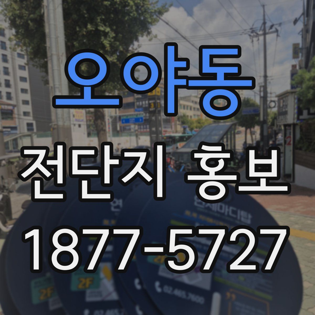 오야동 전단지 홍보