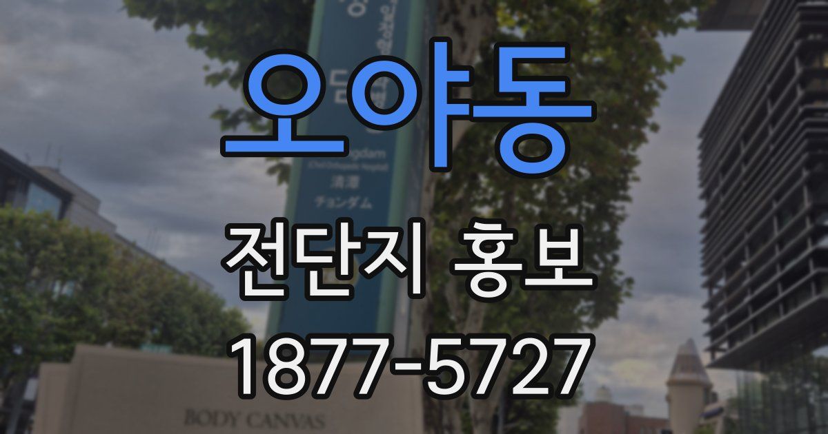 오야동 전단지 홍보