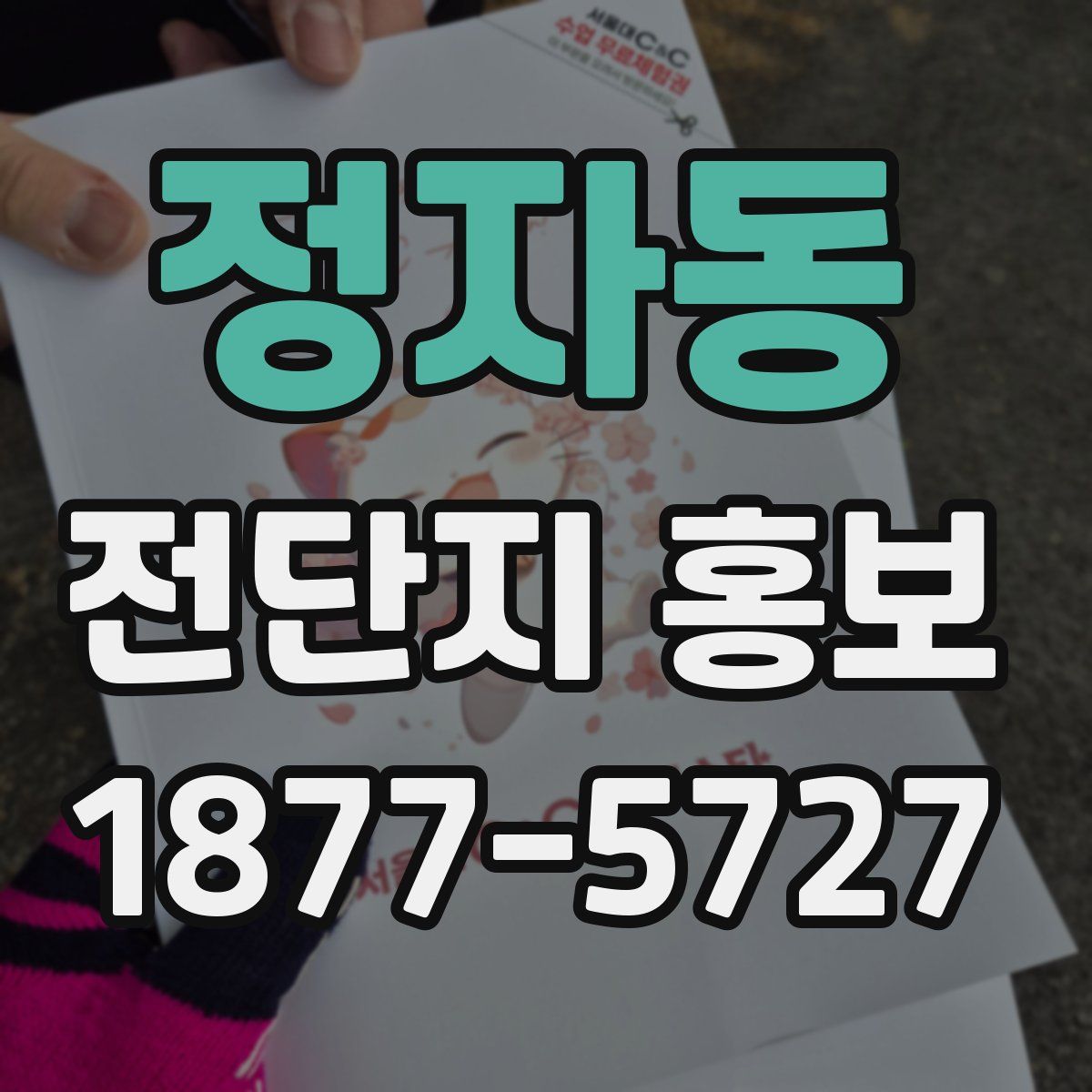 정자동 전단지 홍보