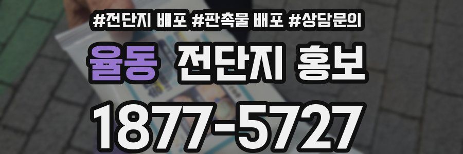 율동 전단지 홍보