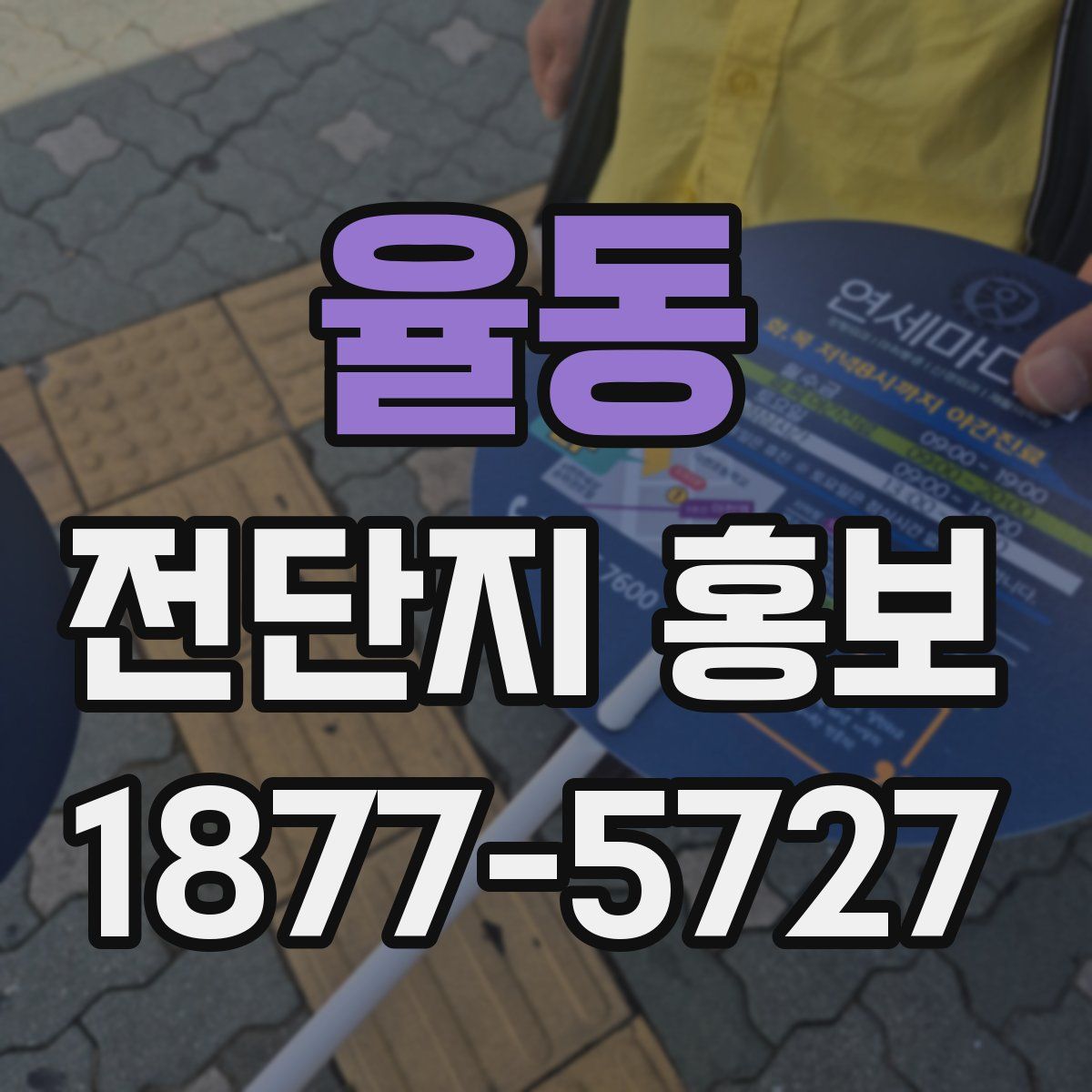 율동 전단지 홍보
