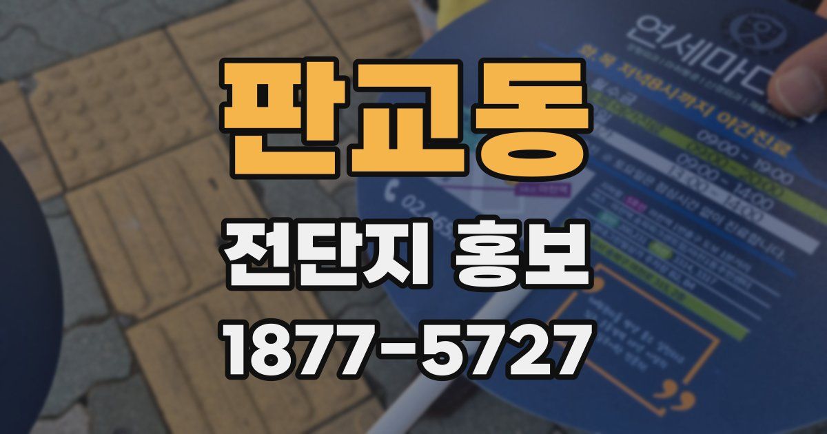 판교동 전단지 홍보