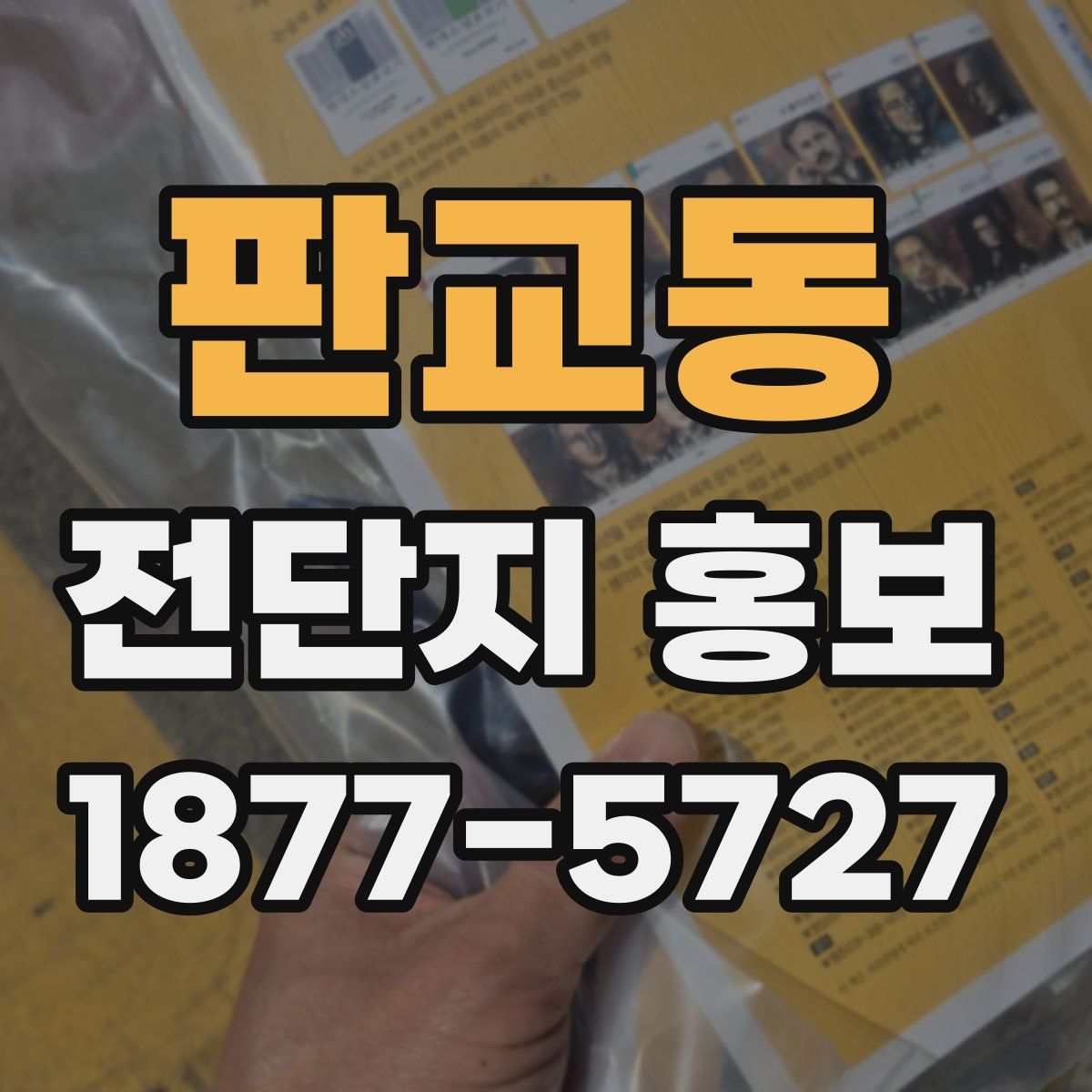 판교동 전단지 홍보