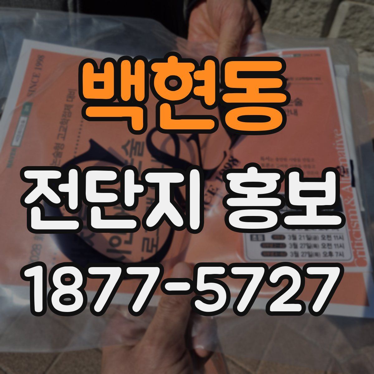 백현동 전단지 홍보
