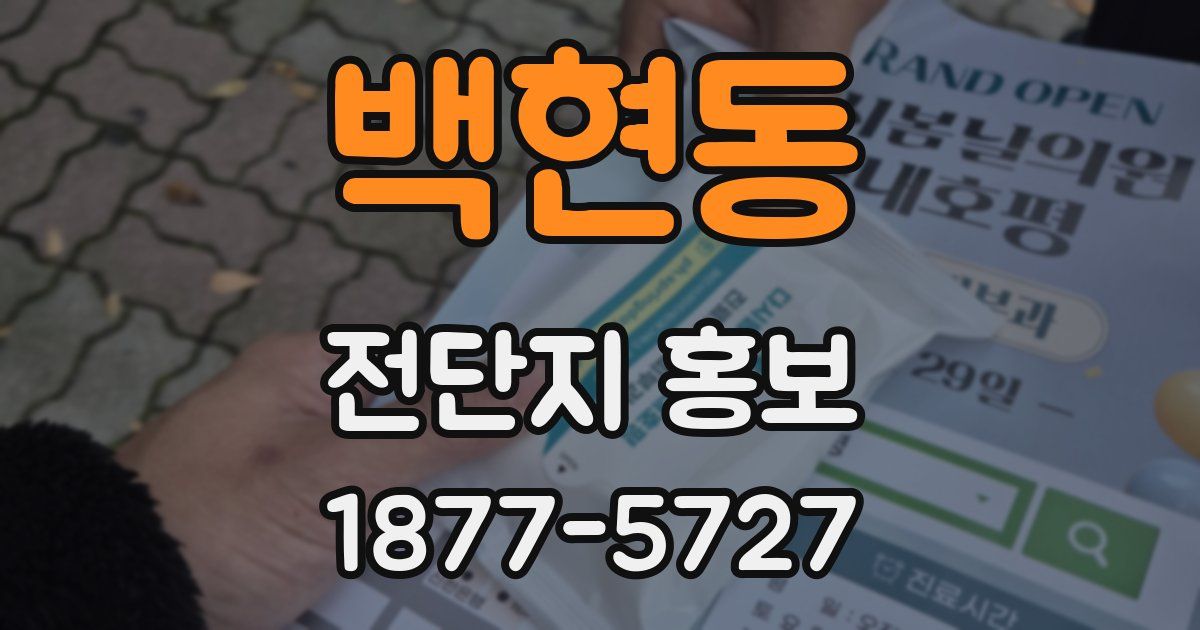 백현동 전단지 홍보