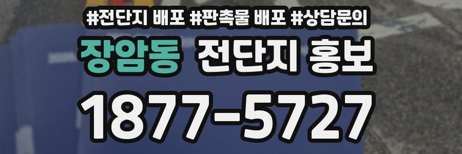 장암동 전단지 홍보