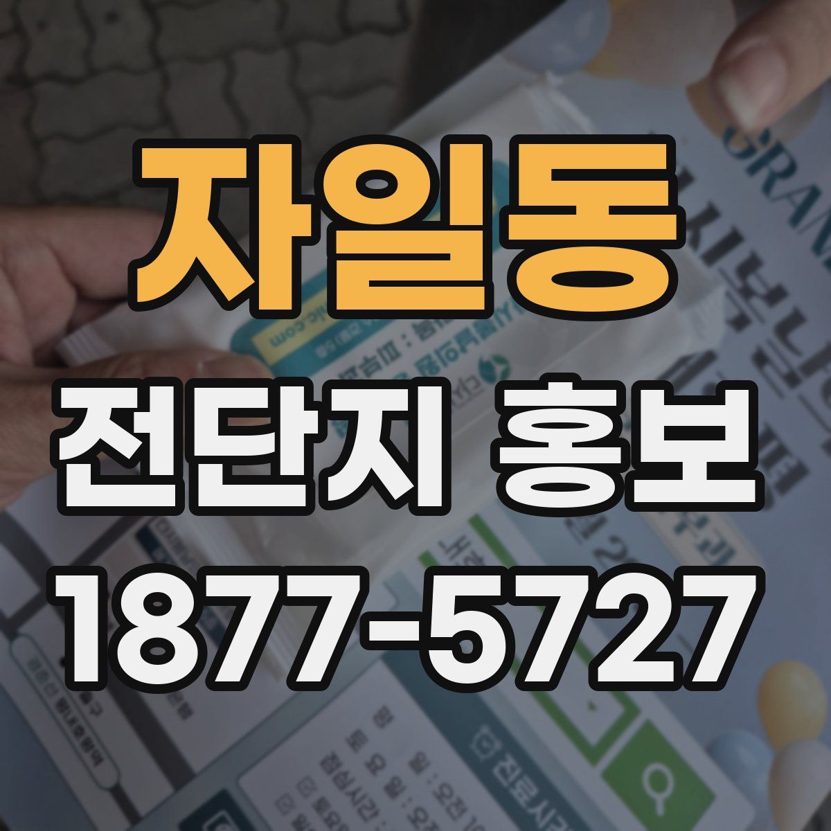 자일동 전단지 홍보