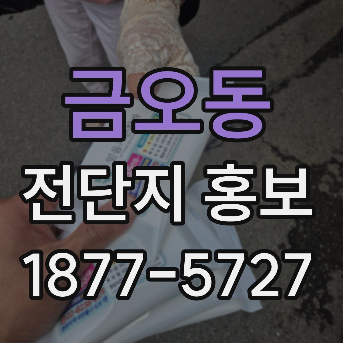 금오동 전단지 홍보