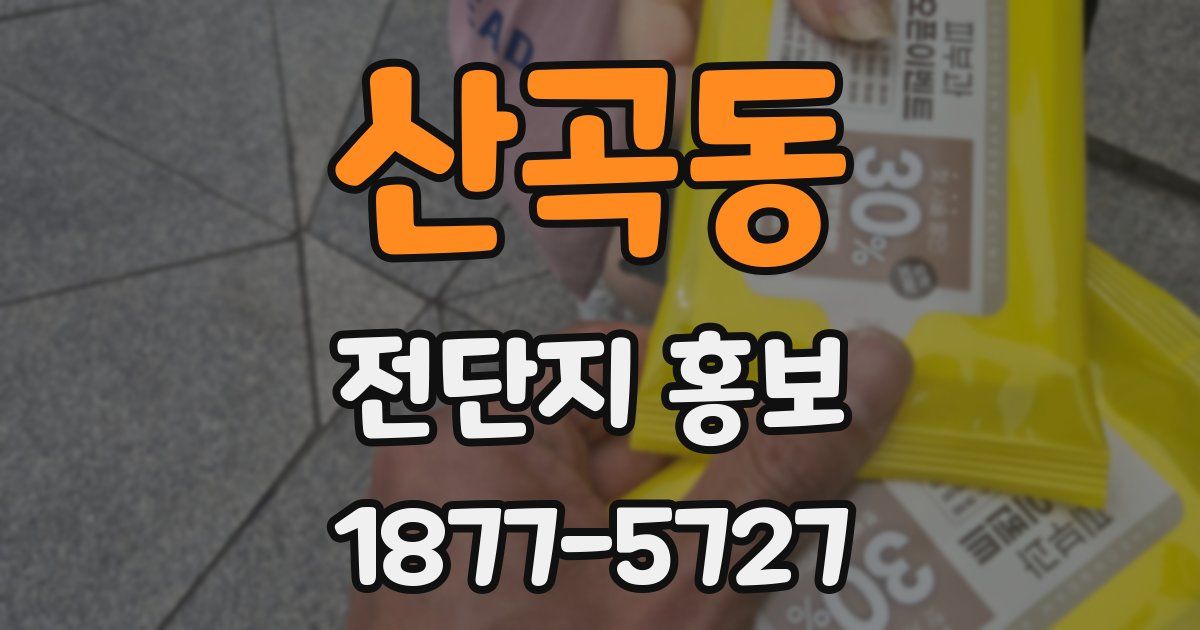 산곡동 전단지 홍보