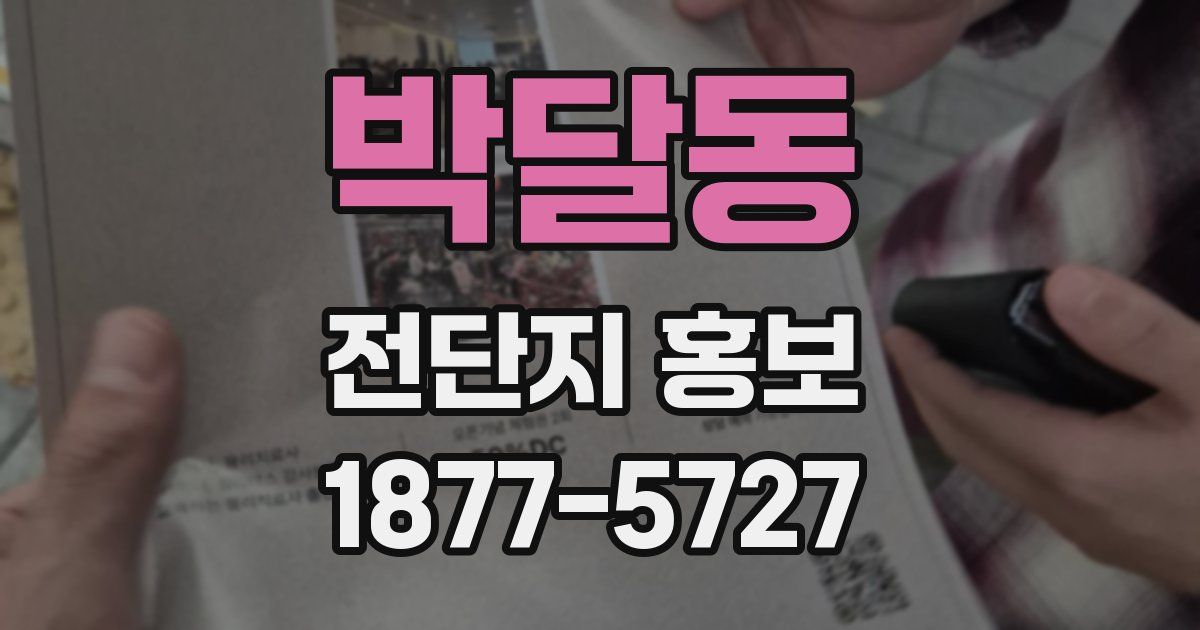 박달동 전단지 홍보