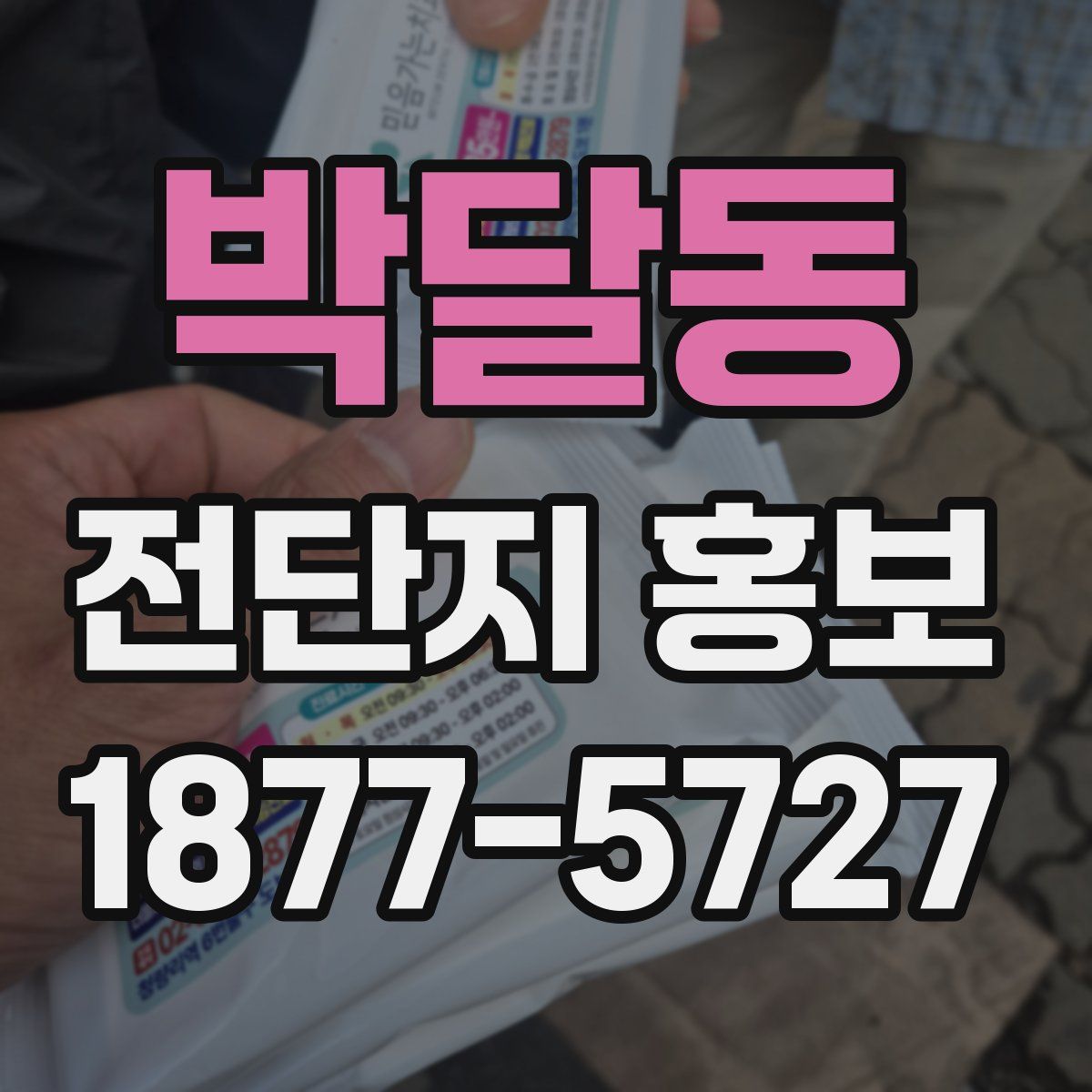 박달동 전단지 홍보