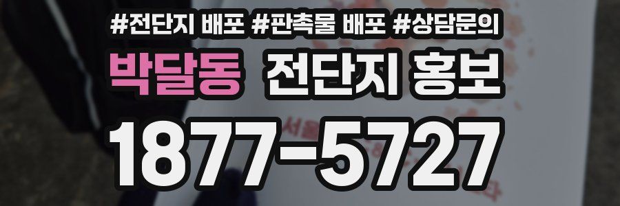 박달동 전단지 홍보