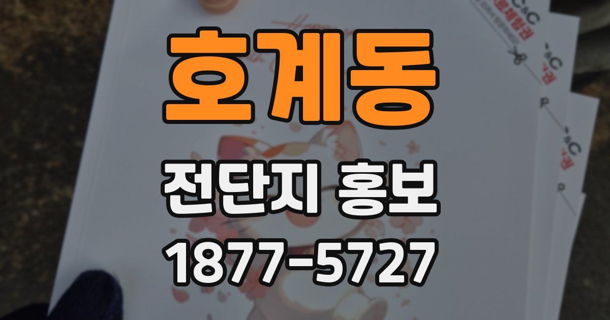 호계동 전단지 홍보