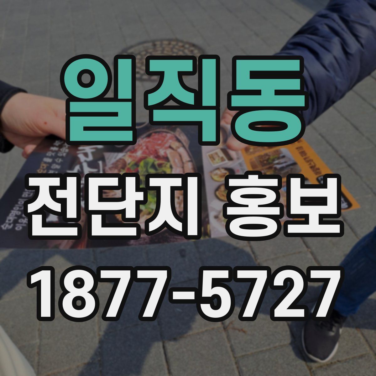 일직동 전단지 홍보