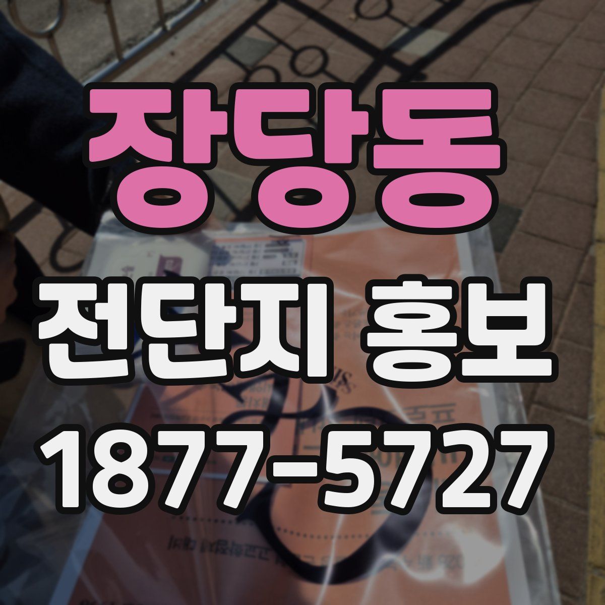 장당동 전단지 홍보