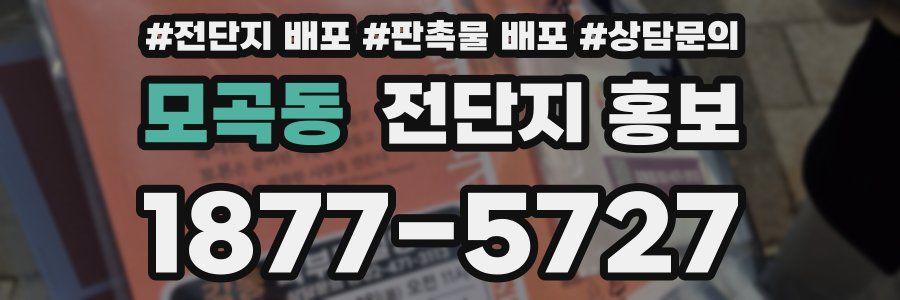 모곡동 전단지 홍보