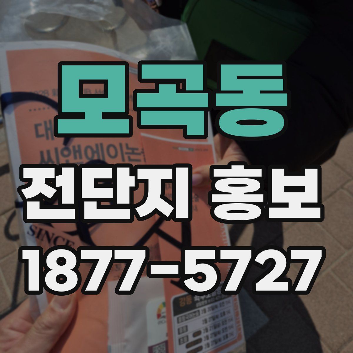 모곡동 전단지 홍보
