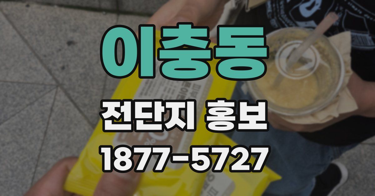 이충동 전단지 홍보