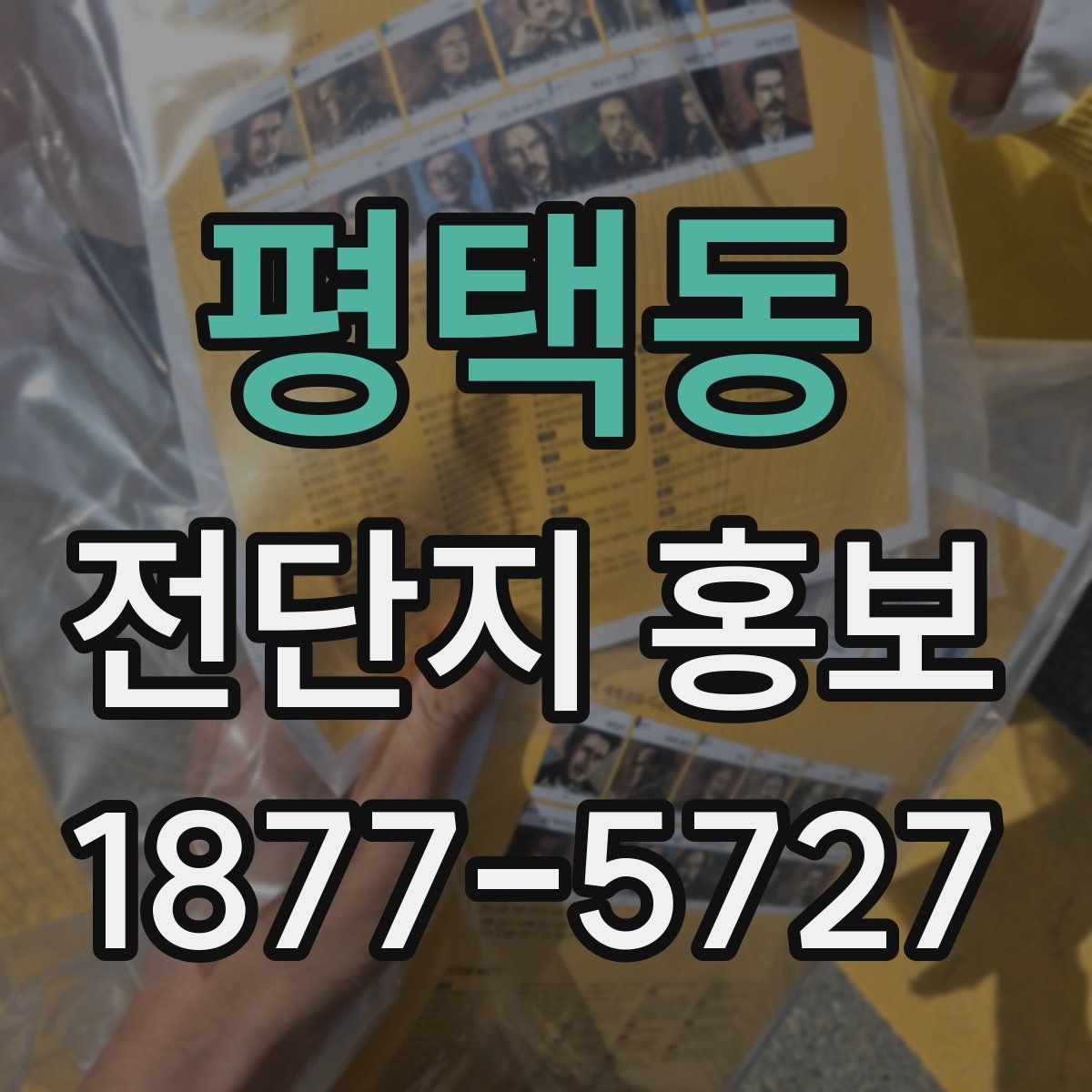 평택동 전단지 홍보