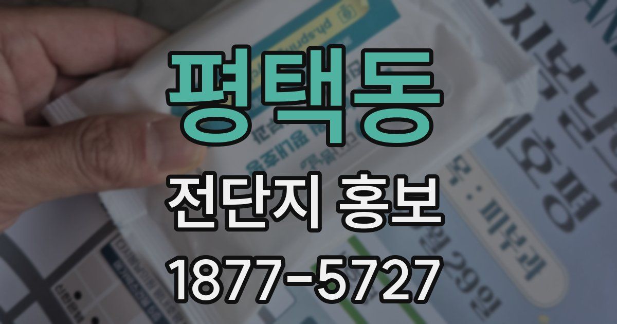 평택동 전단지 홍보