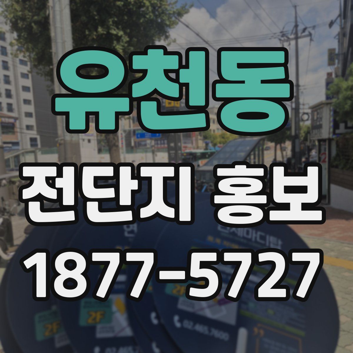 유천동 전단지 홍보