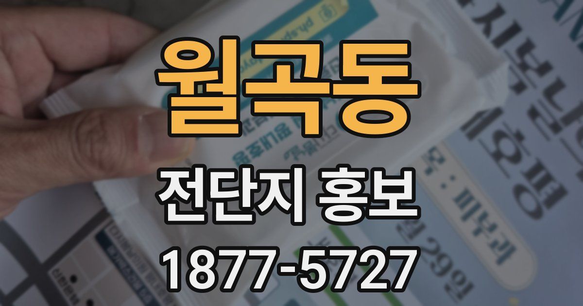월곡동 전단지 홍보