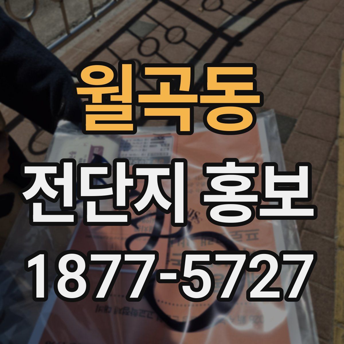 월곡동 전단지 홍보