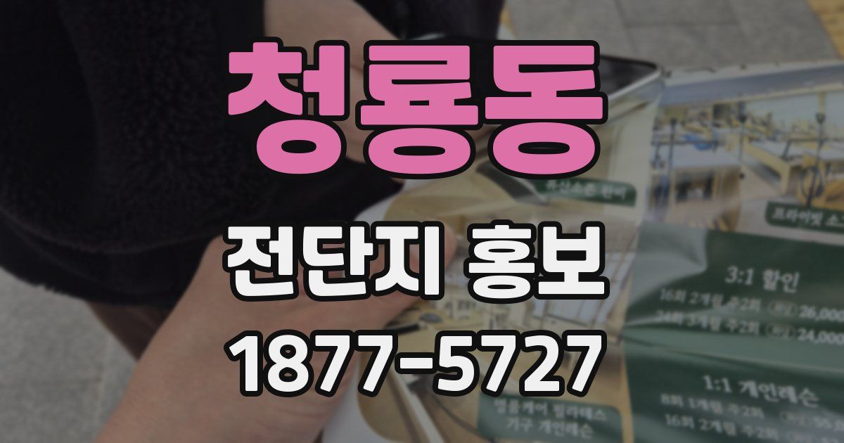 청룡동 전단지 홍보