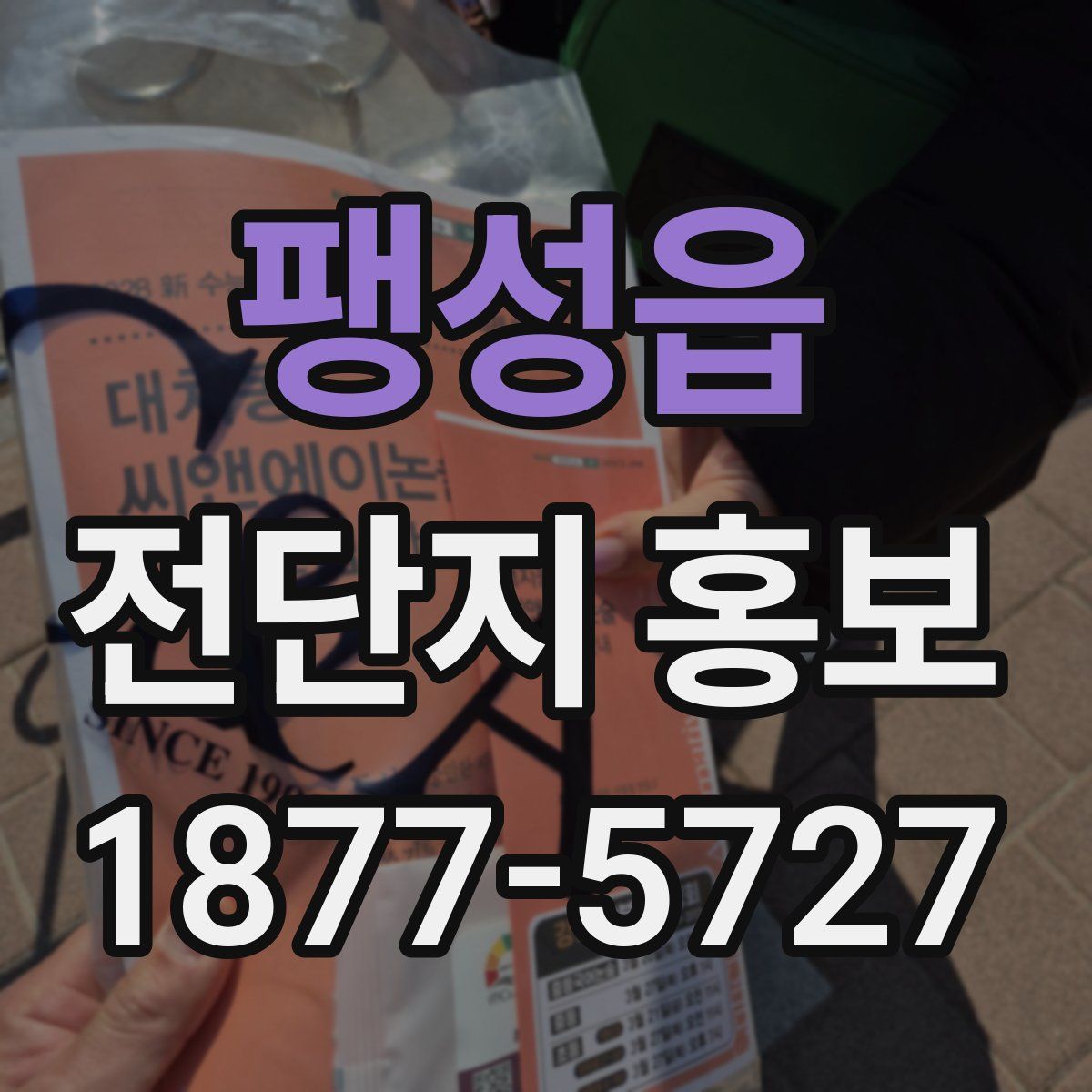팽성읍 전단지 홍보