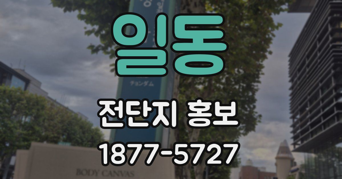 일동 전단지 홍보
