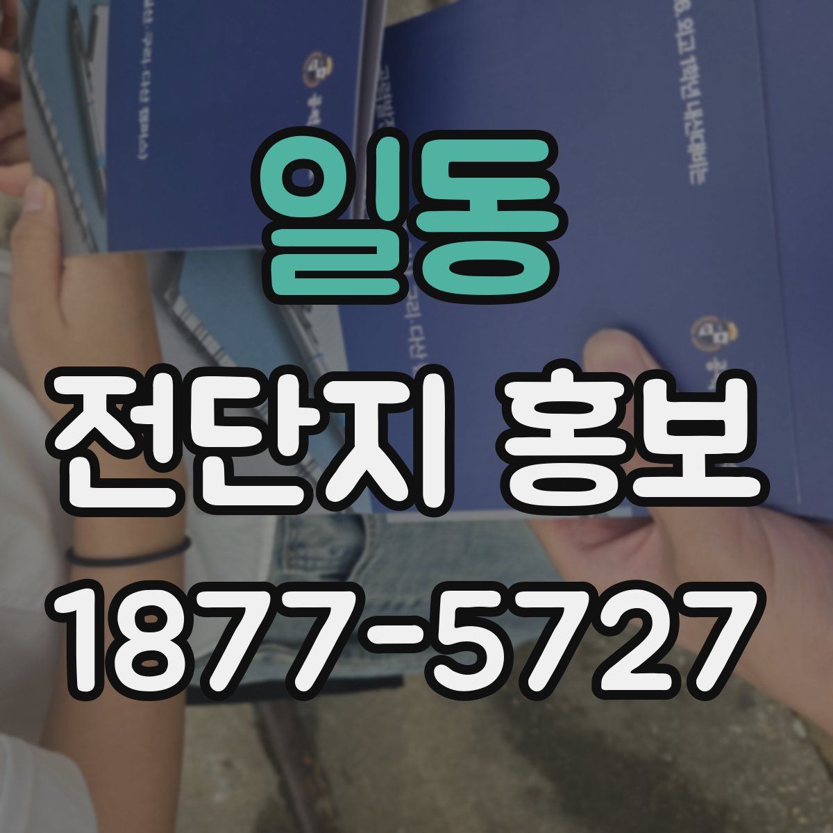 일동 전단지 홍보